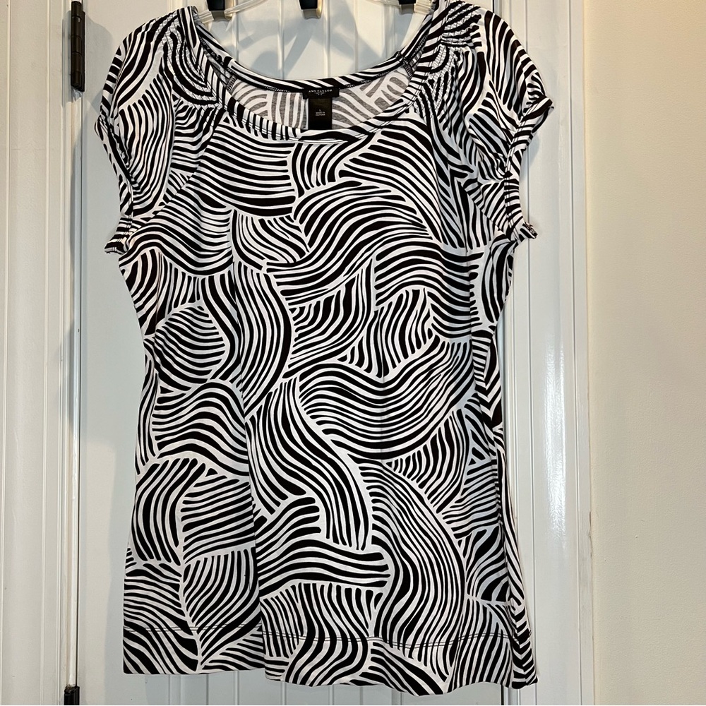 Ann Taylor Brown and White Top Large